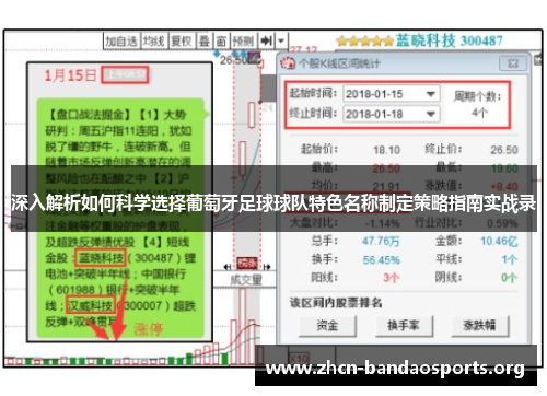 深入解析如何科学选择葡萄牙足球球队特色名称制定策略指南实战录